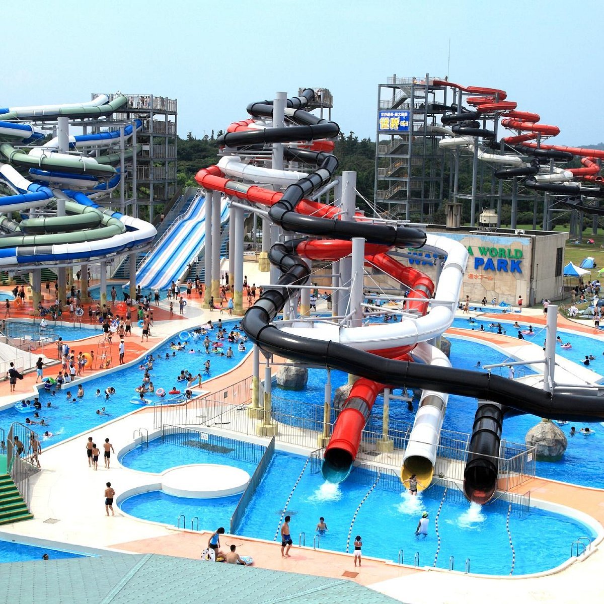 🎡 시바마사 월드